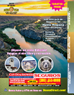 Buena Vista 2020 Free PDF